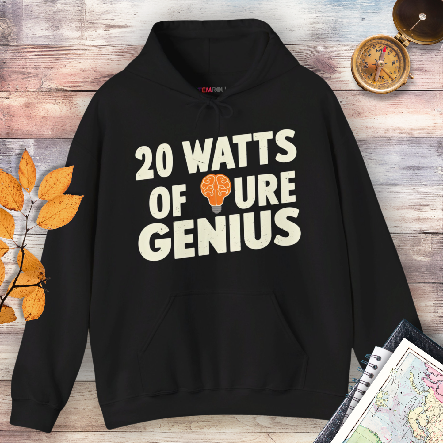 20 Watts of Pure Genius Hoodie