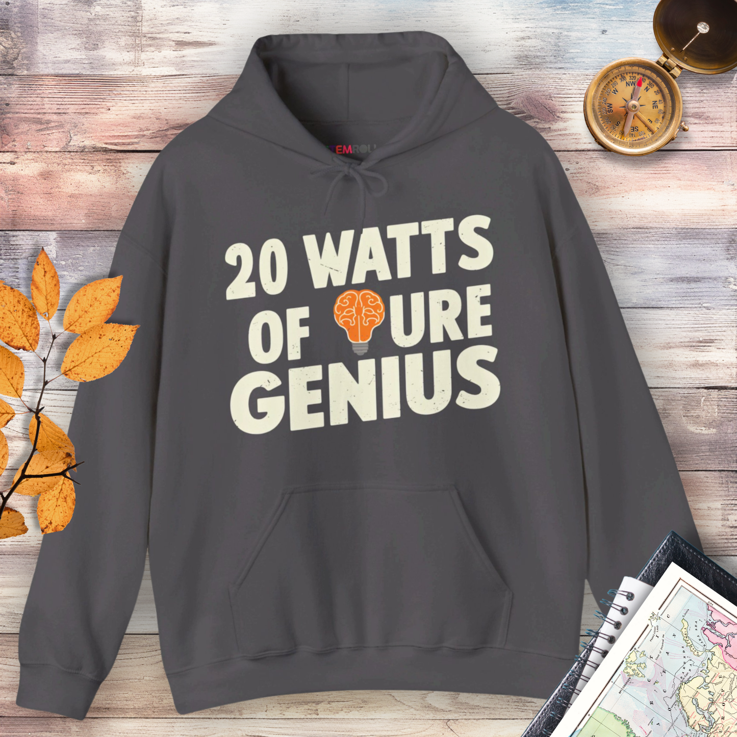 20 Watts of Pure Genius Hoodie