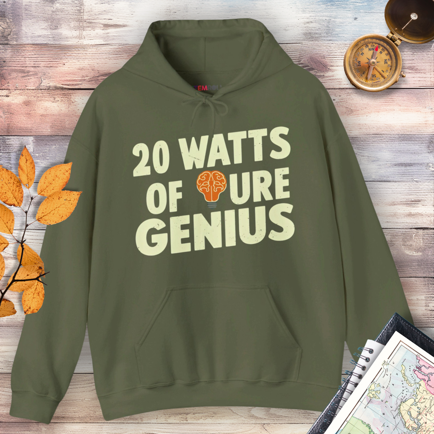 20 Watts of Pure Genius Hoodie