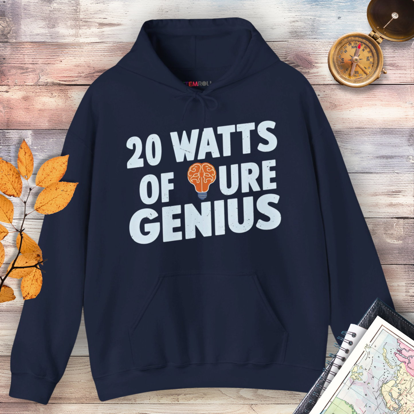 20 Watts of Pure Genius Hoodie