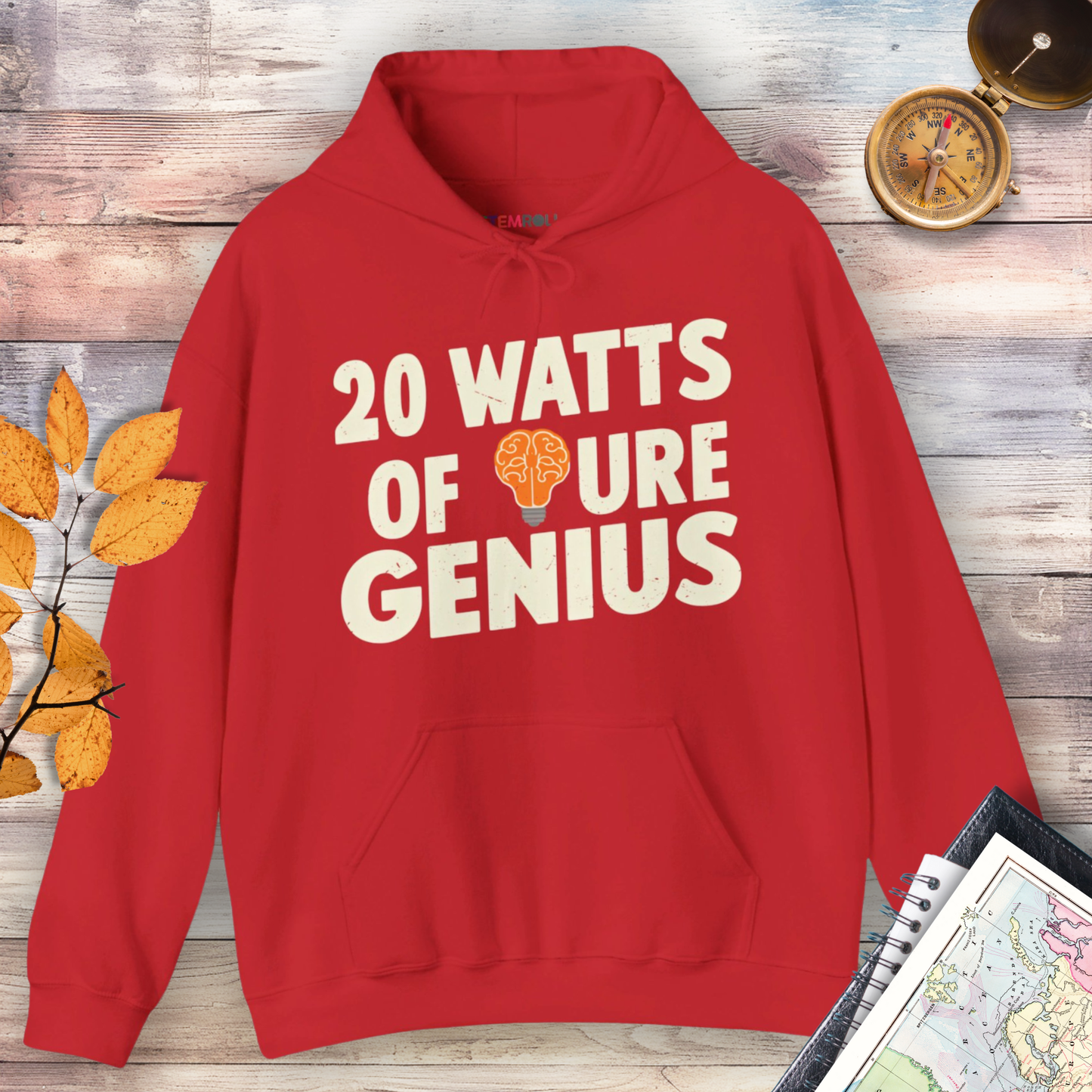 20 Watts of Pure Genius Hoodie