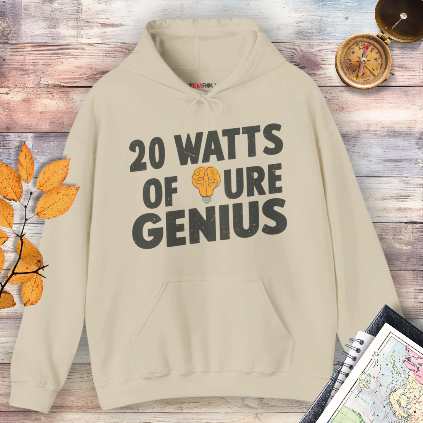 20 Watts of Pure Genius Hoodie