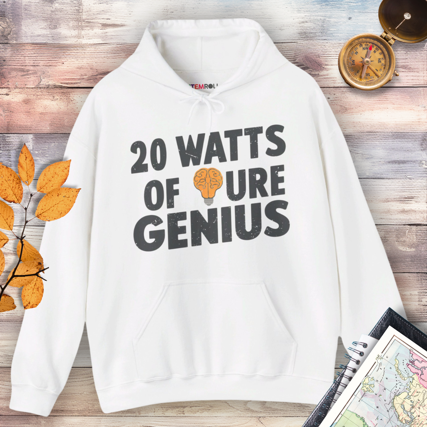 20 Watts of Pure Genius Hoodie