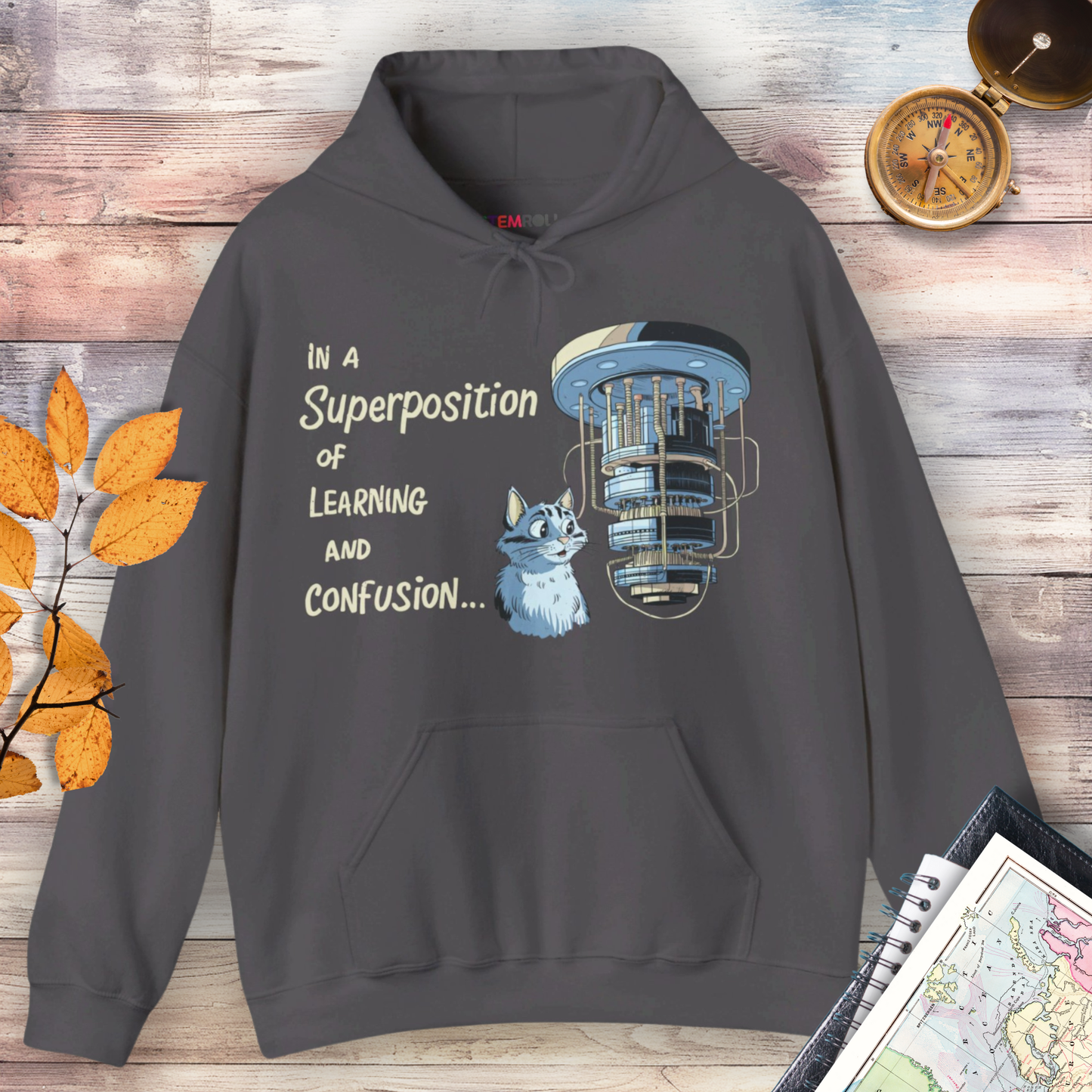 In a Superposition of Learning and Confusion Hoodie