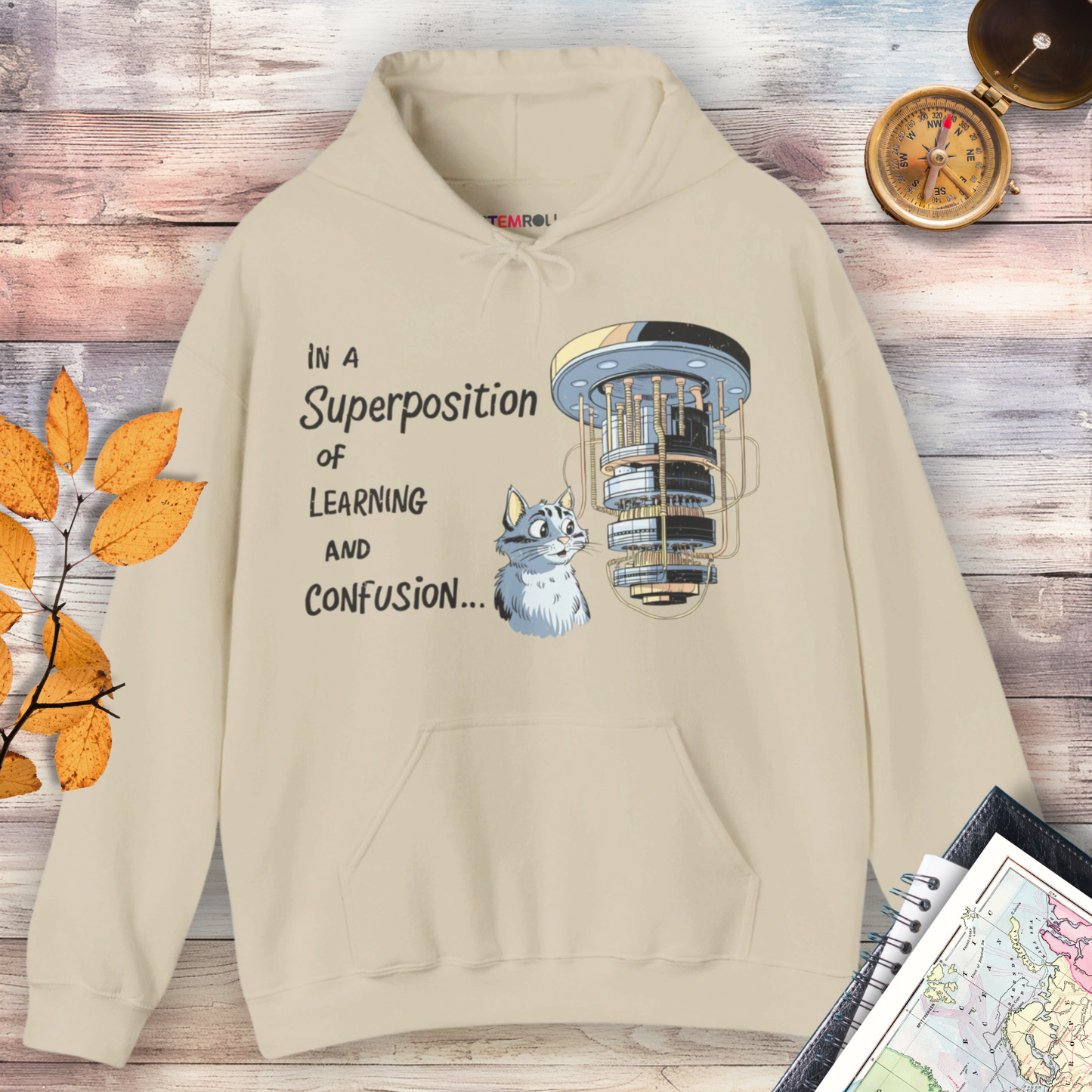 In a Superposition of Learning and Confusion Hoodie