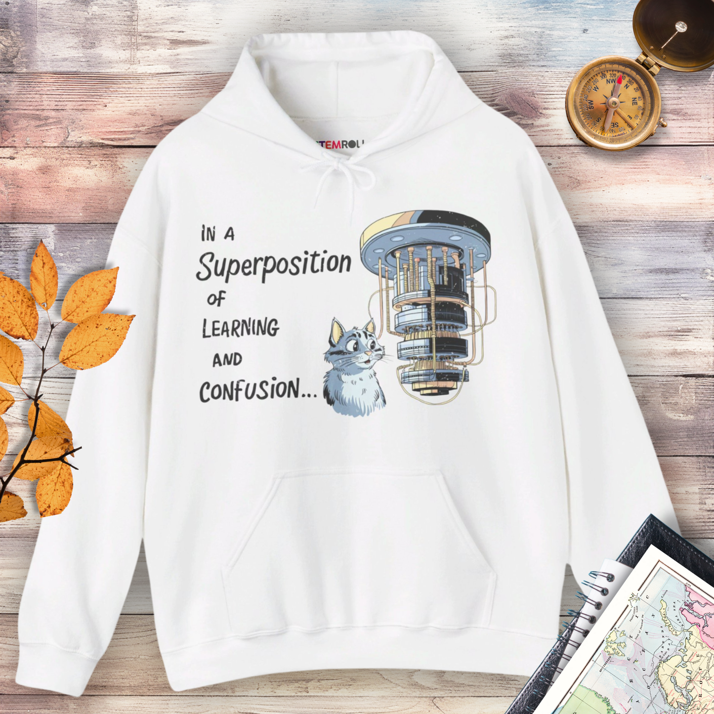 In a Superposition of Learning and Confusion Hoodie