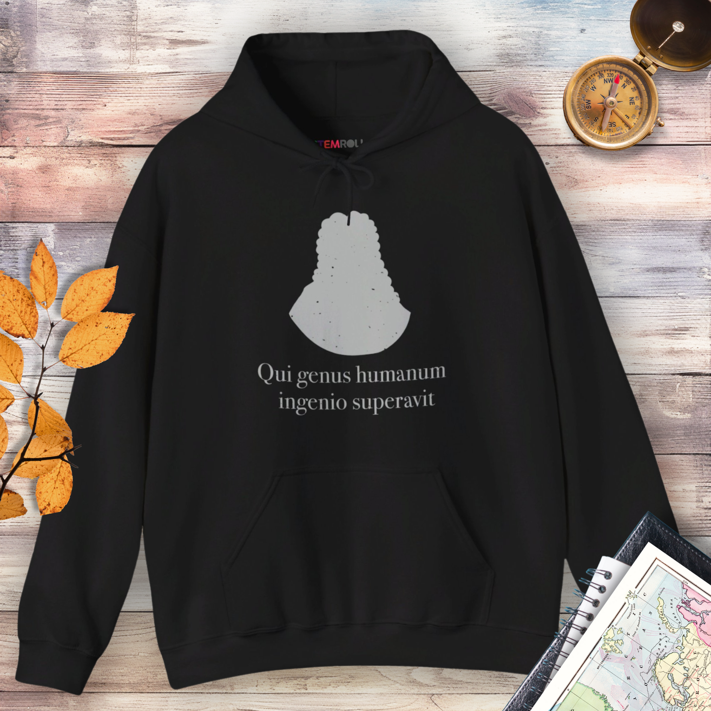 Isaac Newton: "Qui genus humanum ingenio superavit" Hoodie