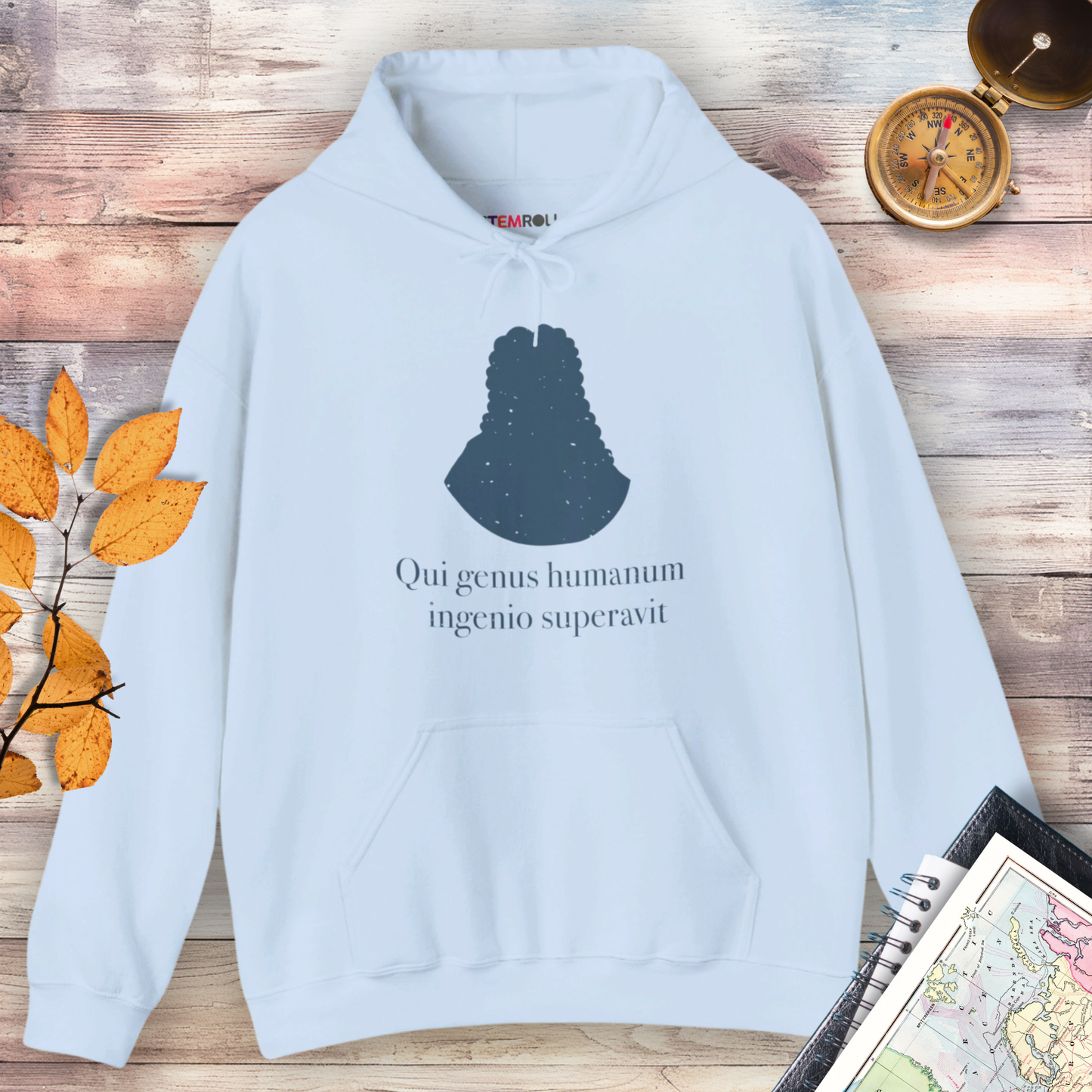 Isaac Newton: "Qui genus humanum ingenio superavit" Hoodie