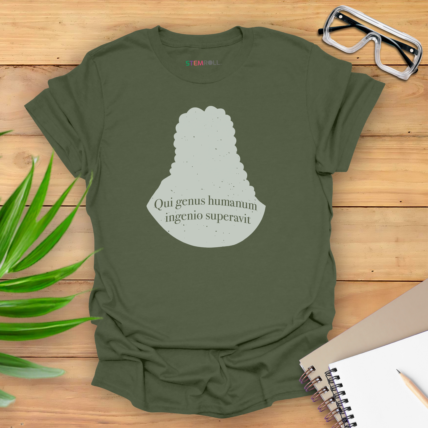 Isaac Newton: "Qui genus humanum ingenio superavit" T-shirt