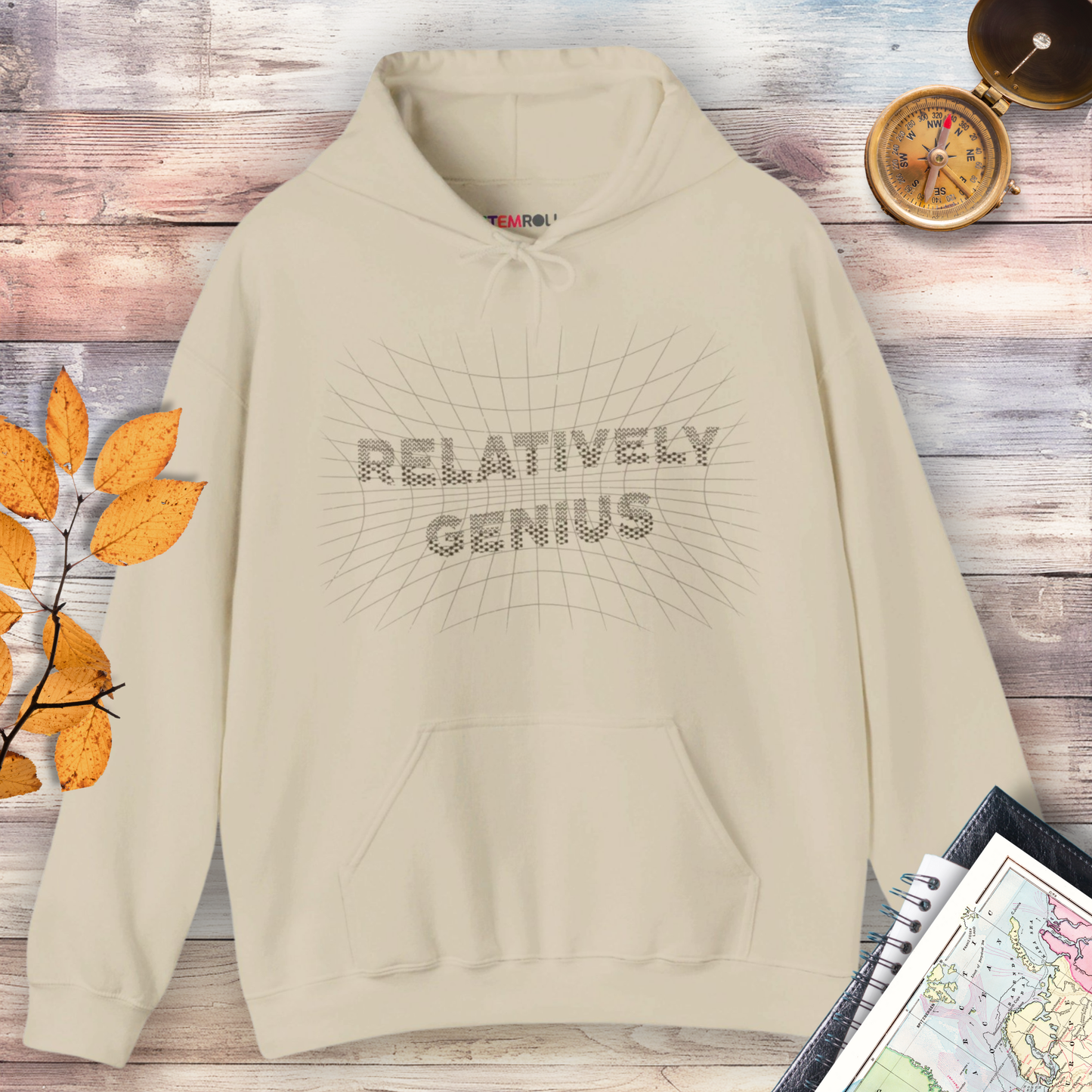 "Relatively" Genius: Celebrating Albert Einstein Hoodie