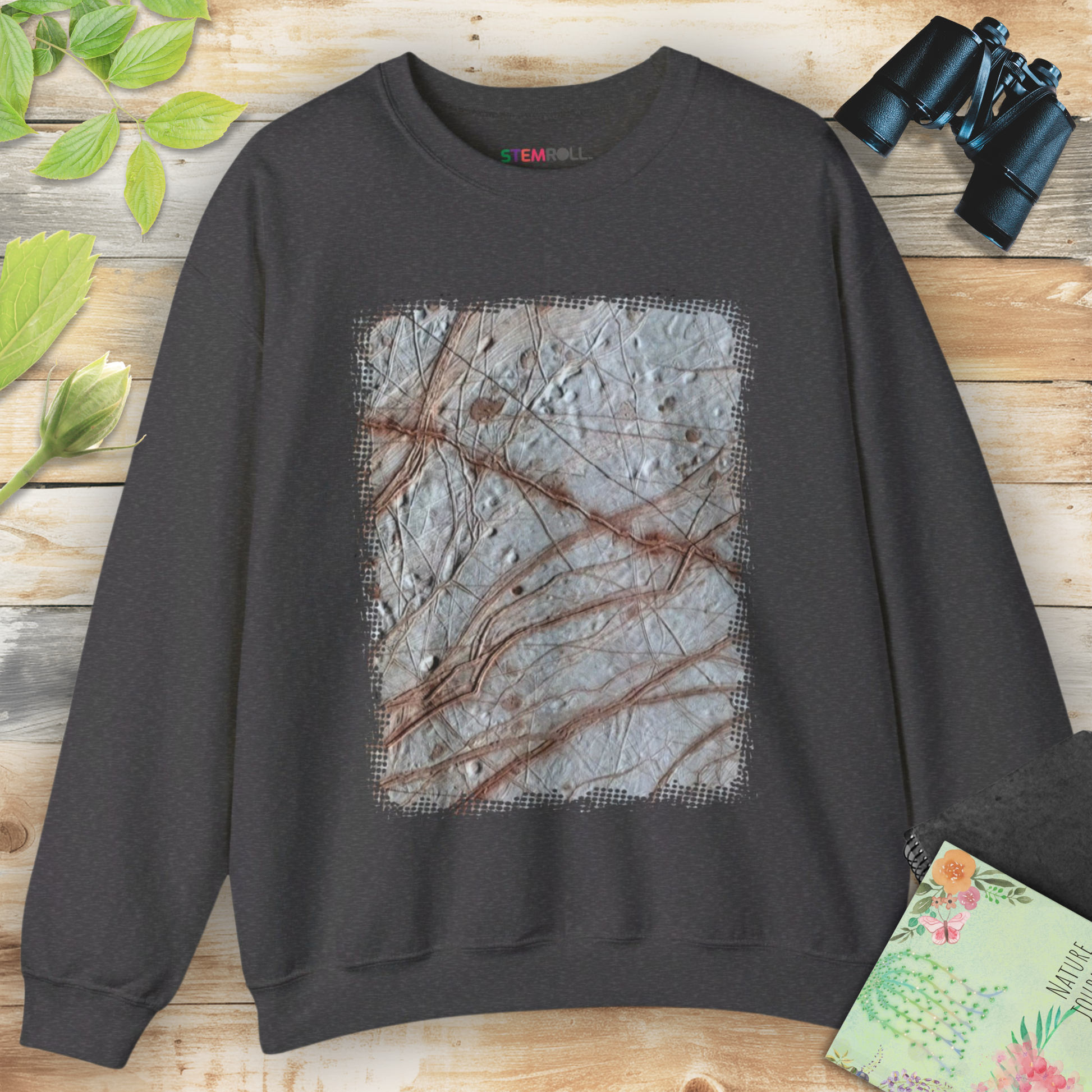 Cracking the code of Europa Jupiter moon sweatshirt — STEMRoll astronomy planetary science apparel