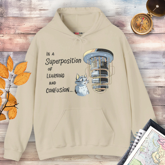 In a Superposition of Learning and Confusion Hoodie