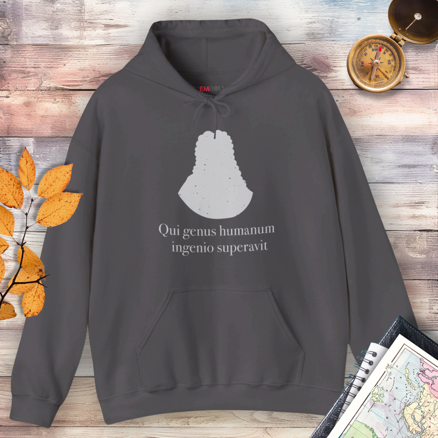 Isaac Newton: "Qui genus humanum ingenio superavit" Hoodie