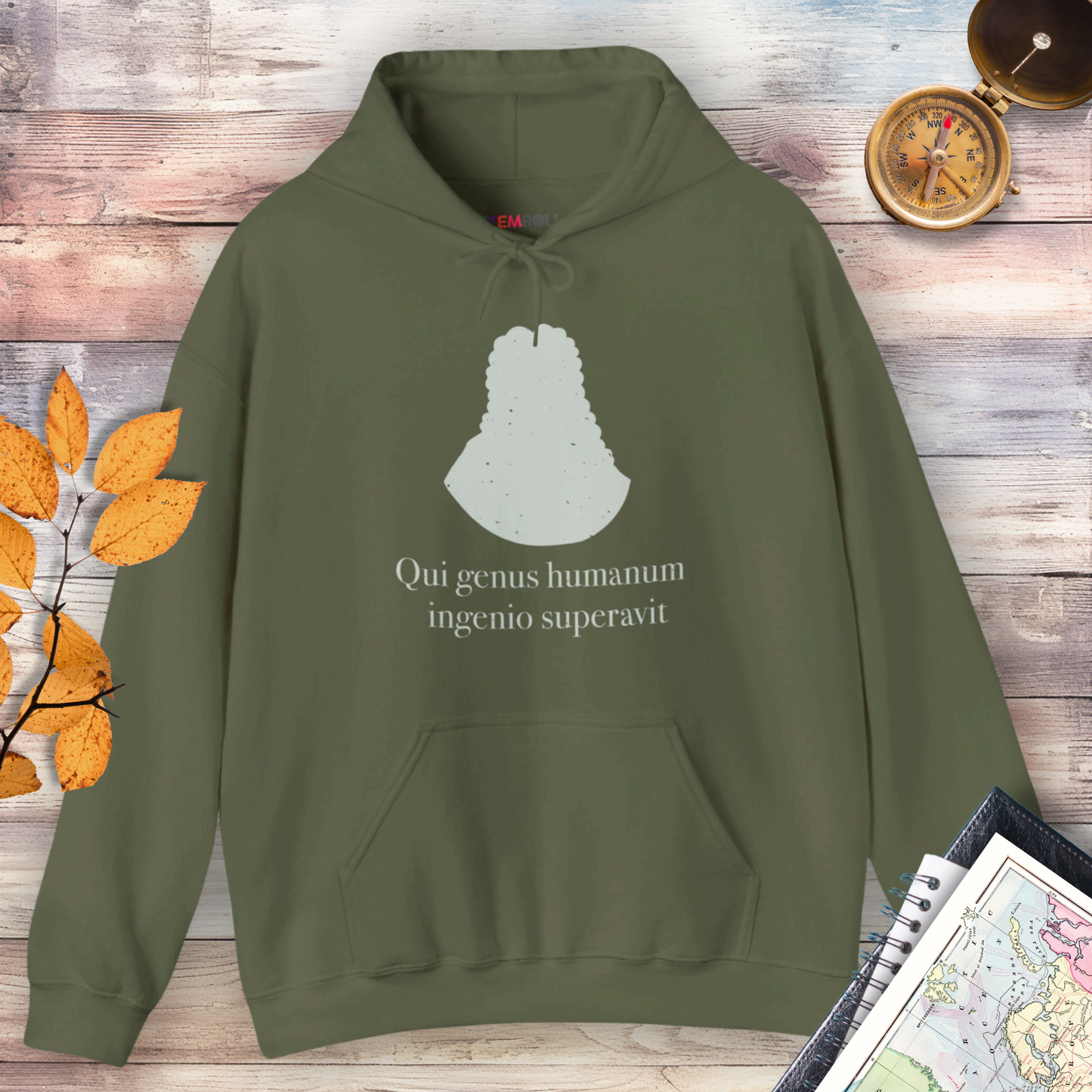 Isaac Newton: "Qui genus humanum ingenio superavit" Hoodie