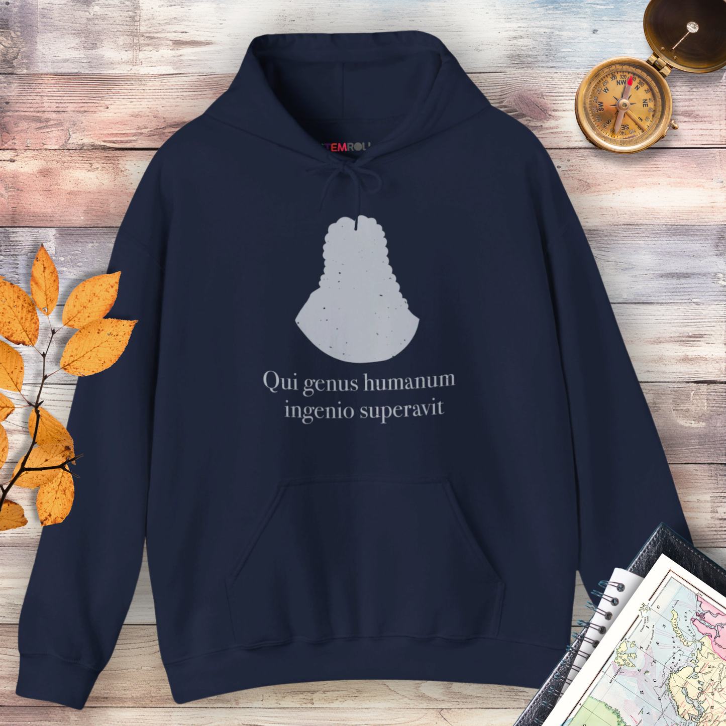 Isaac Newton: "Qui genus humanum ingenio superavit" Hoodie