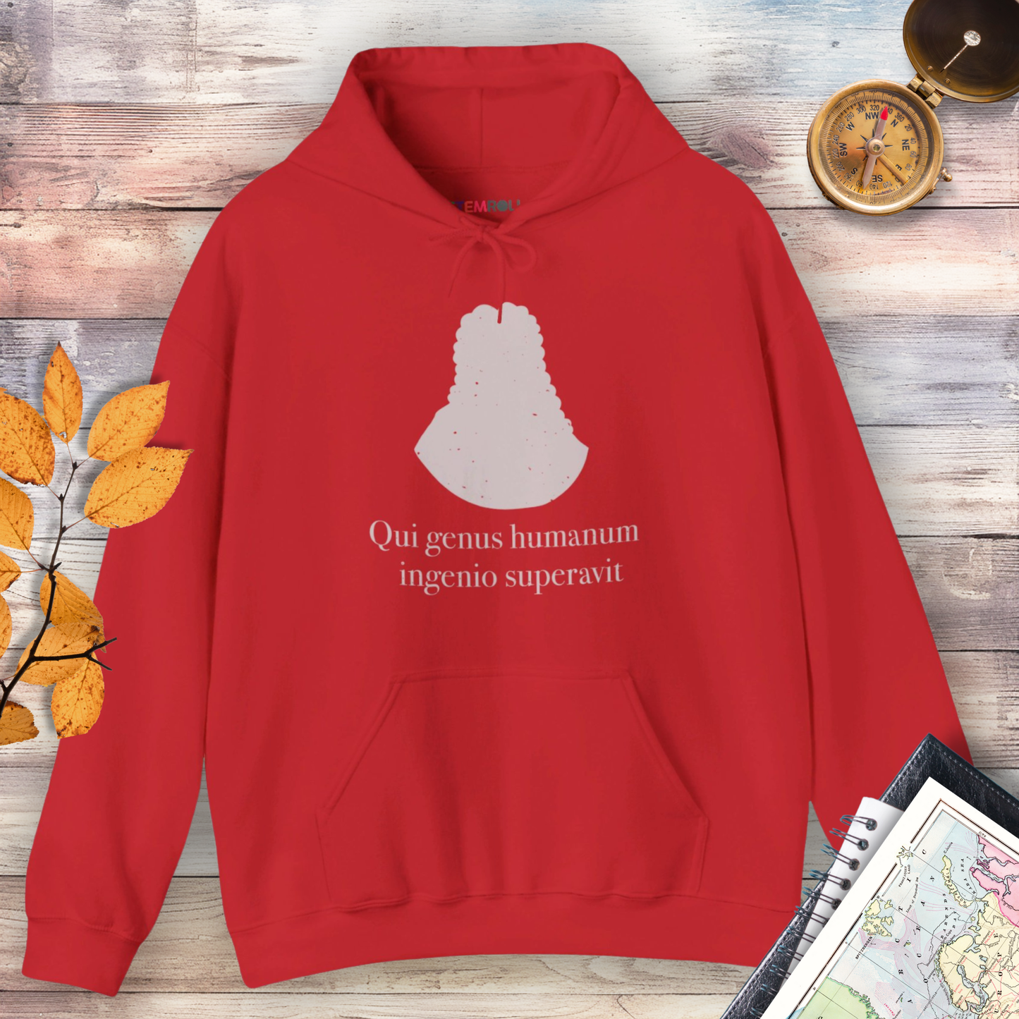 Isaac Newton: "Qui genus humanum ingenio superavit" Hoodie