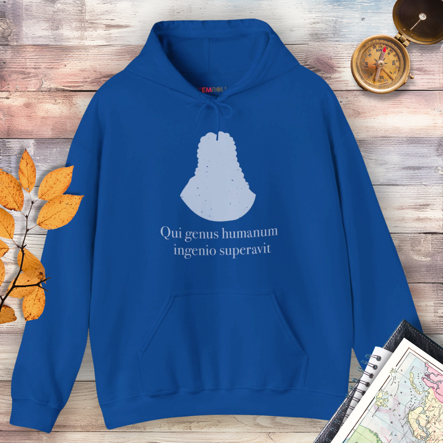 Isaac Newton: "Qui genus humanum ingenio superavit" Hoodie