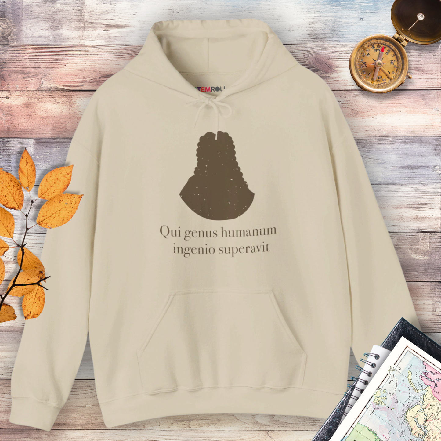 Isaac Newton: "Qui genus humanum ingenio superavit" Hoodie
