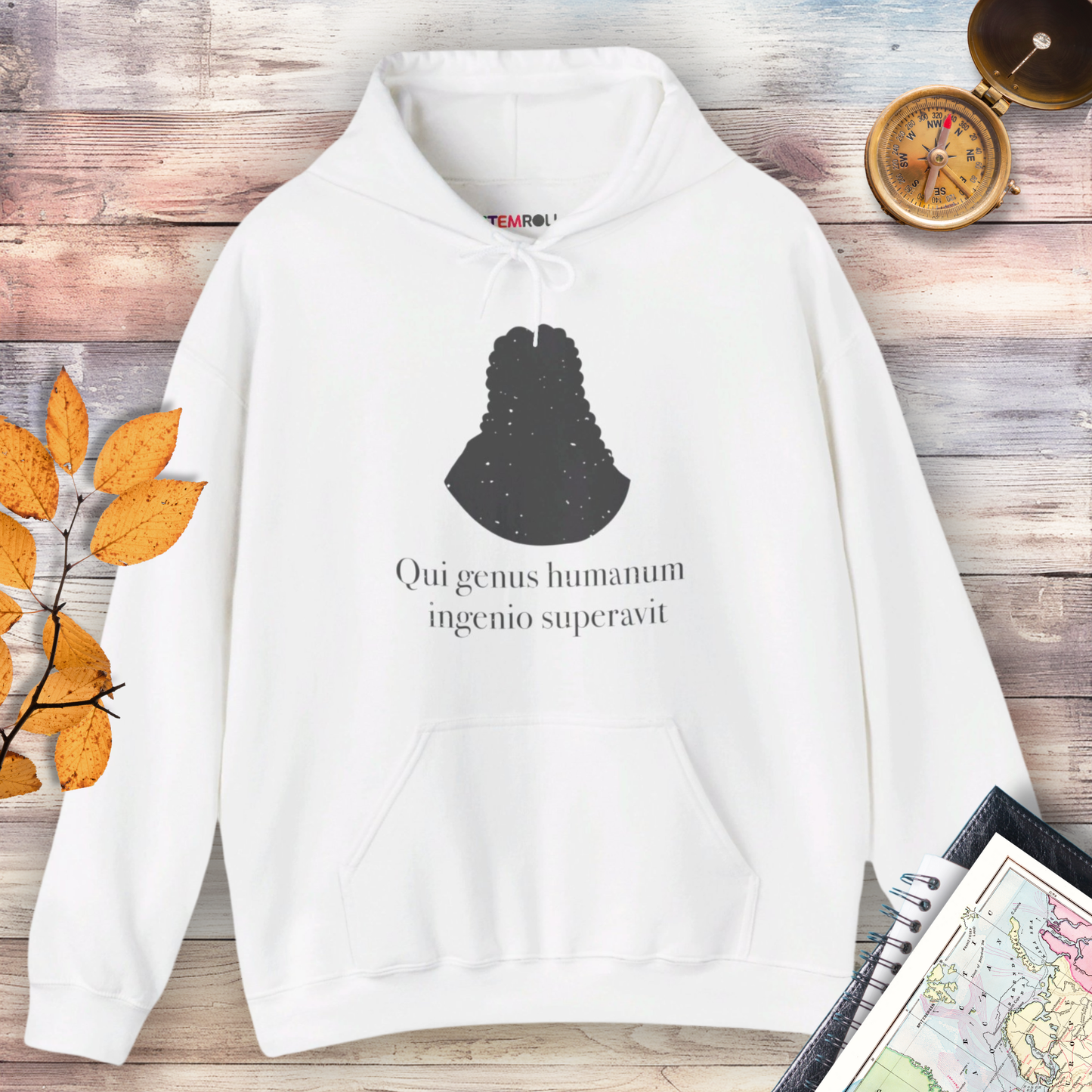Isaac Newton: "Qui genus humanum ingenio superavit" Hoodie