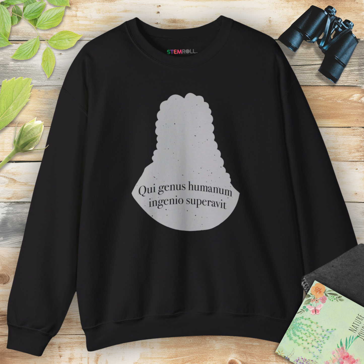 Isaac Newton: "Qui genus humanum ingenio superavit" Sweatshirt