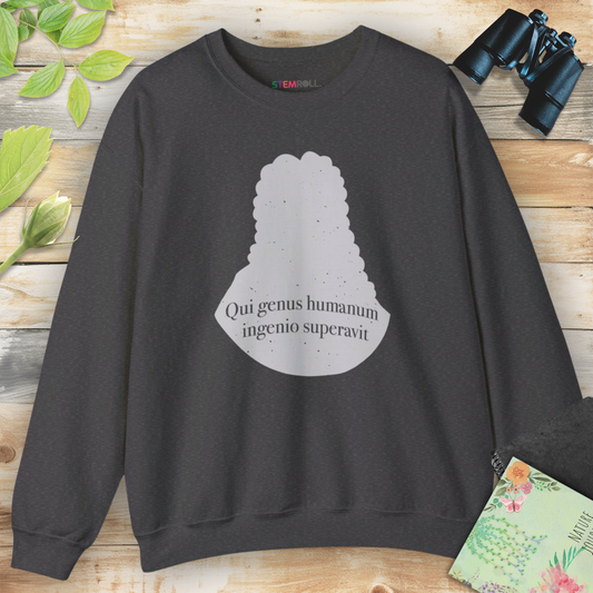 Isaac Newton science pioneers physics sweatshirt — STEMRoll science history apparel