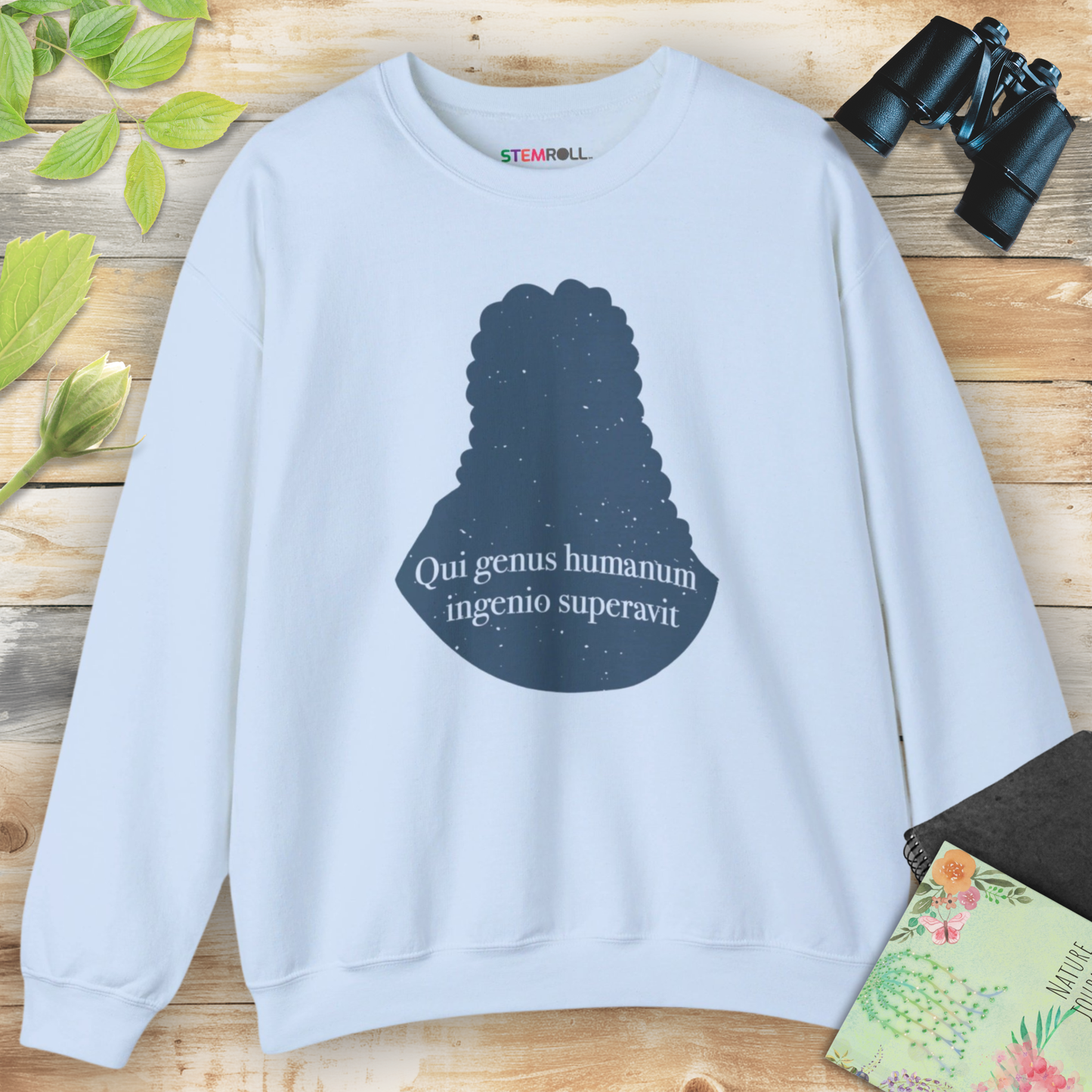 Isaac Newton: "Qui genus humanum ingenio superavit" Sweatshirt