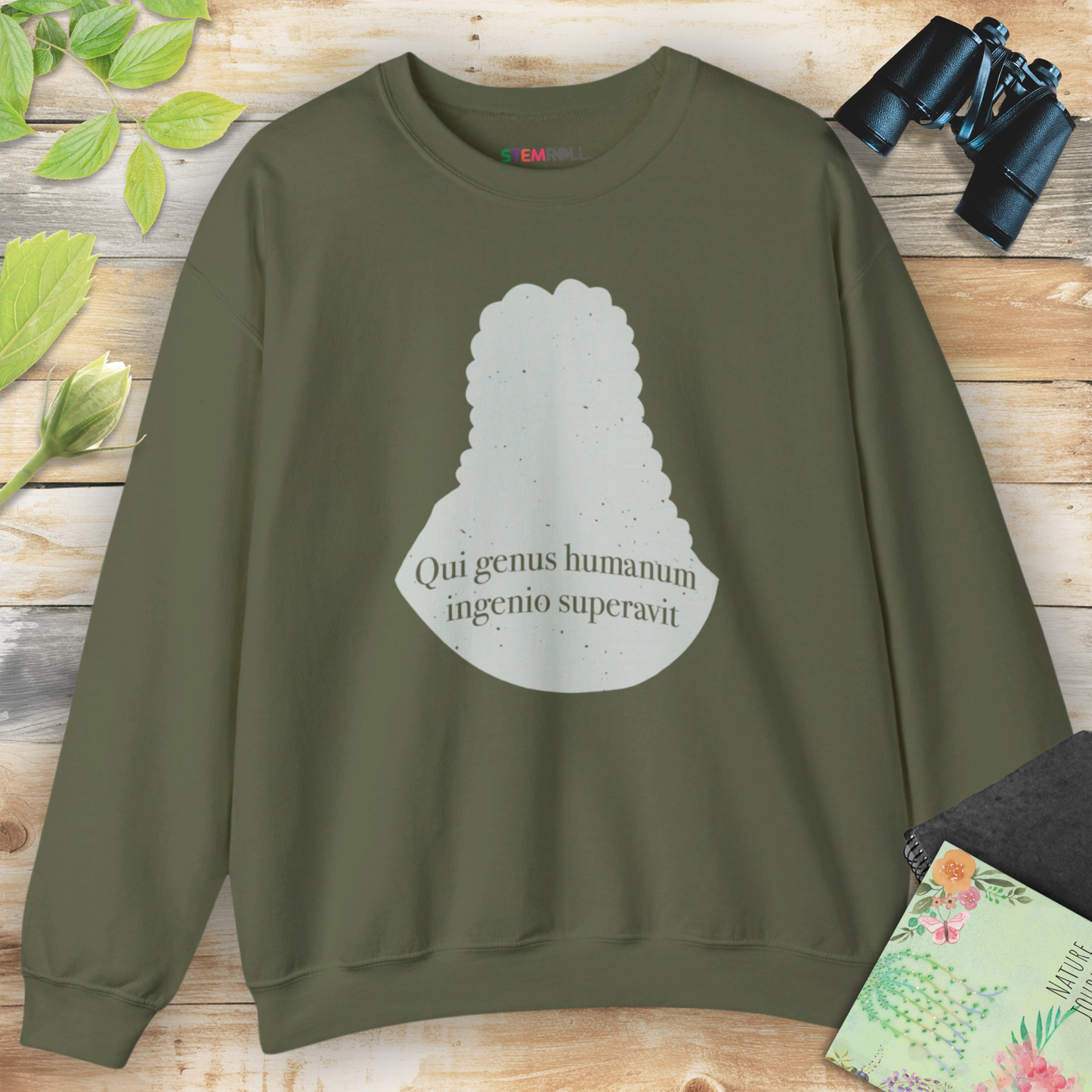 Isaac Newton: "Qui genus humanum ingenio superavit" Sweatshirt