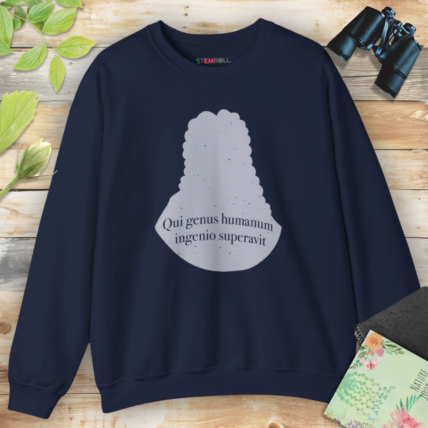 Isaac Newton: "Qui genus humanum ingenio superavit" Sweatshirt