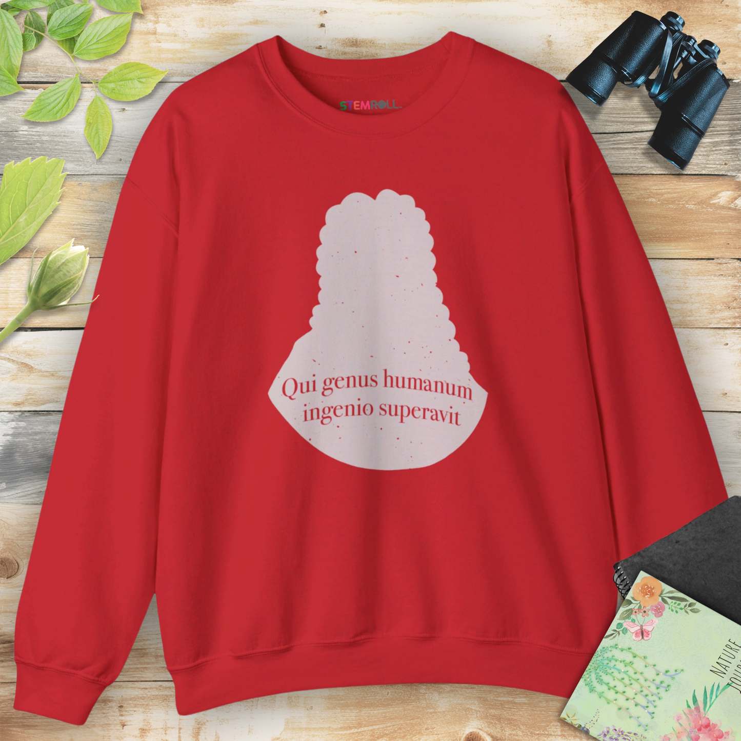 Isaac Newton: "Qui genus humanum ingenio superavit" Sweatshirt
