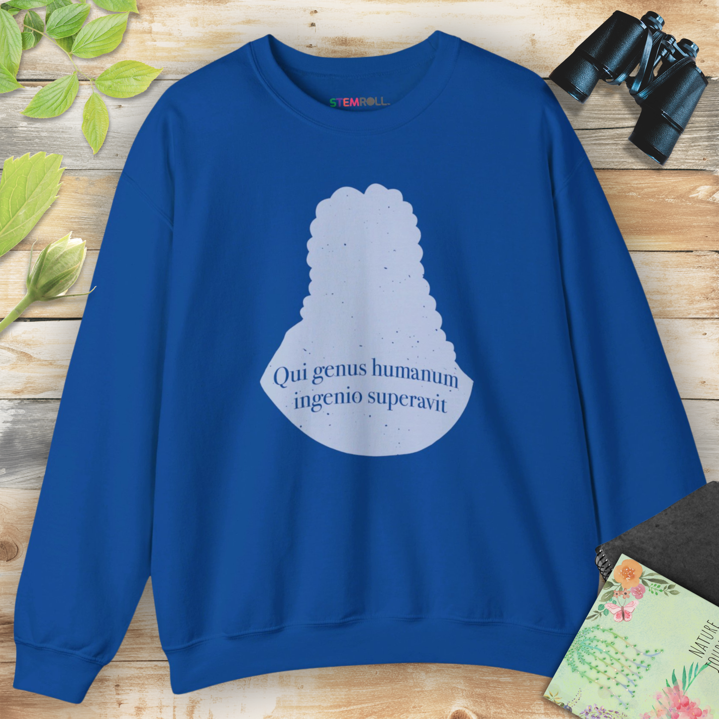 Isaac Newton: "Qui genus humanum ingenio superavit" Sweatshirt
