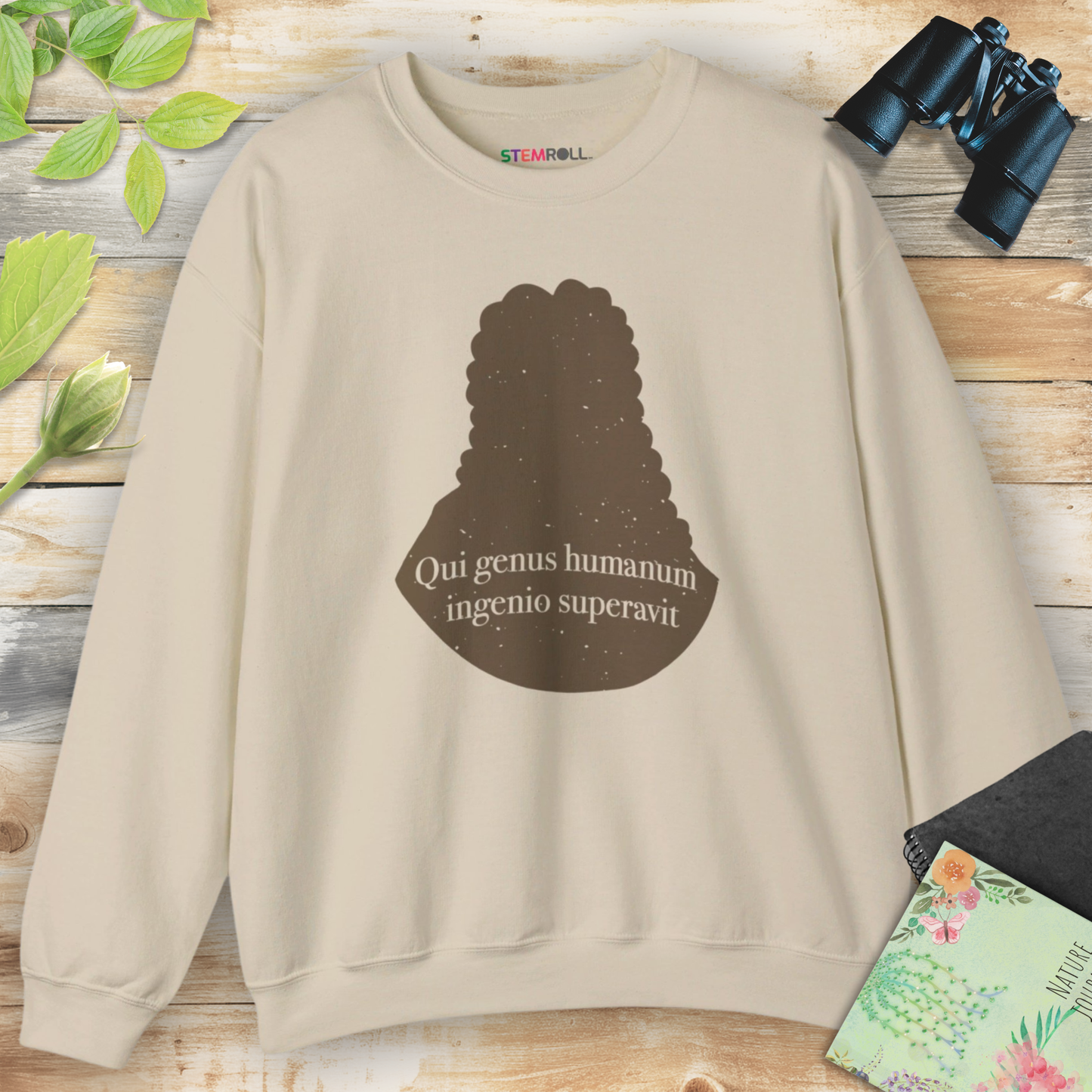 Isaac Newton: "Qui genus humanum ingenio superavit" Sweatshirt