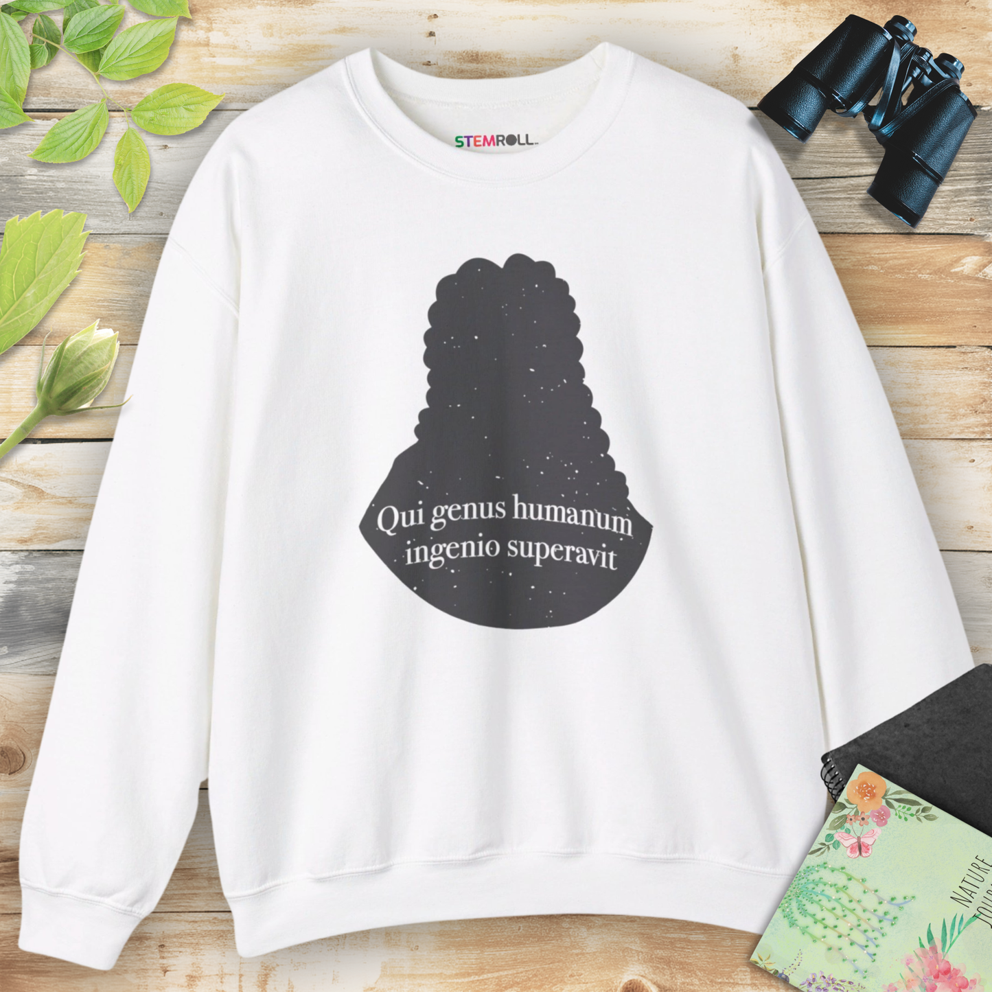 Isaac Newton: "Qui genus humanum ingenio superavit" Sweatshirt