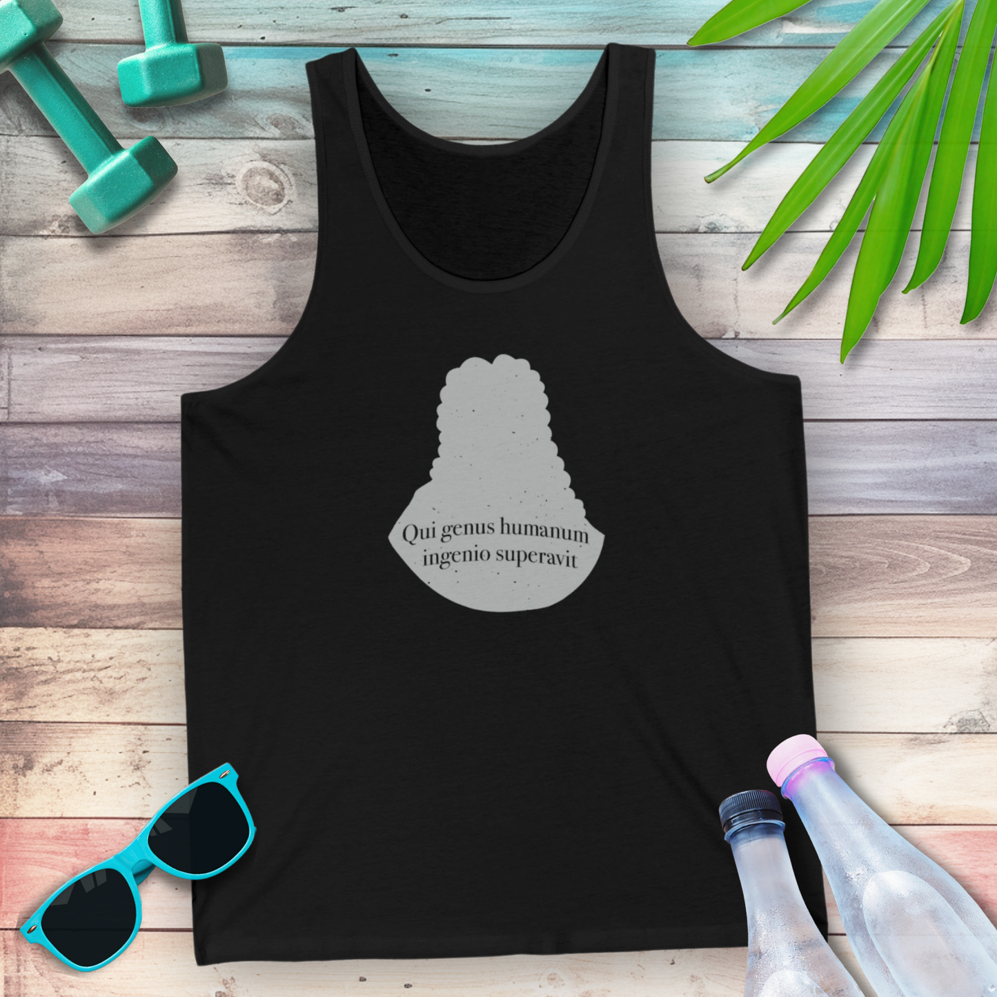 Isaac Newton: "Qui genus humanum ingenio superavit" Tank Top