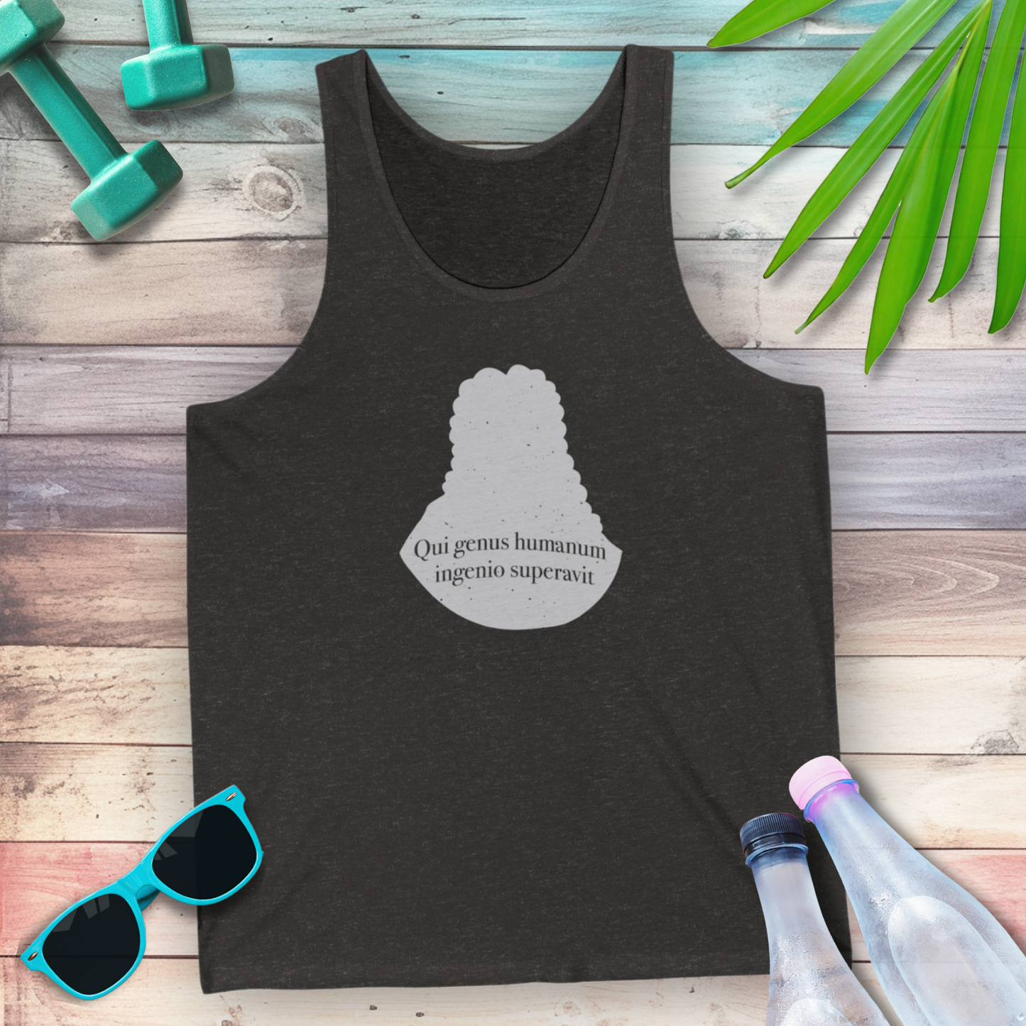 Isaac Newton: "Qui genus humanum ingenio superavit" Tank Top