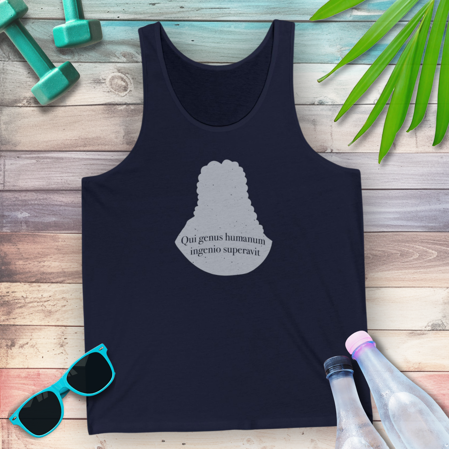 Isaac Newton: "Qui genus humanum ingenio superavit" Tank Top