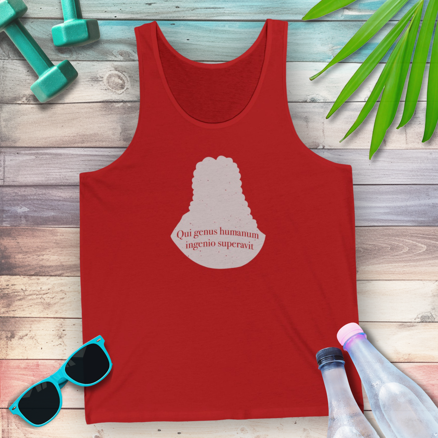 Isaac Newton: "Qui genus humanum ingenio superavit" Tank Top
