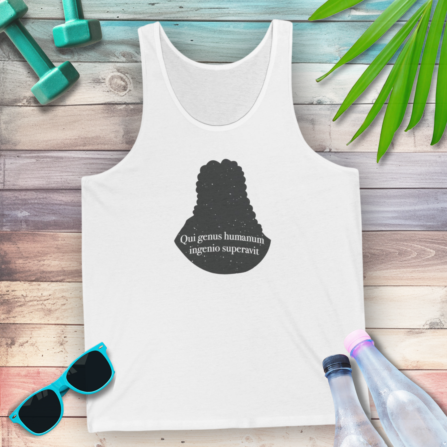 Isaac Newton: "Qui genus humanum ingenio superavit" Tank Top