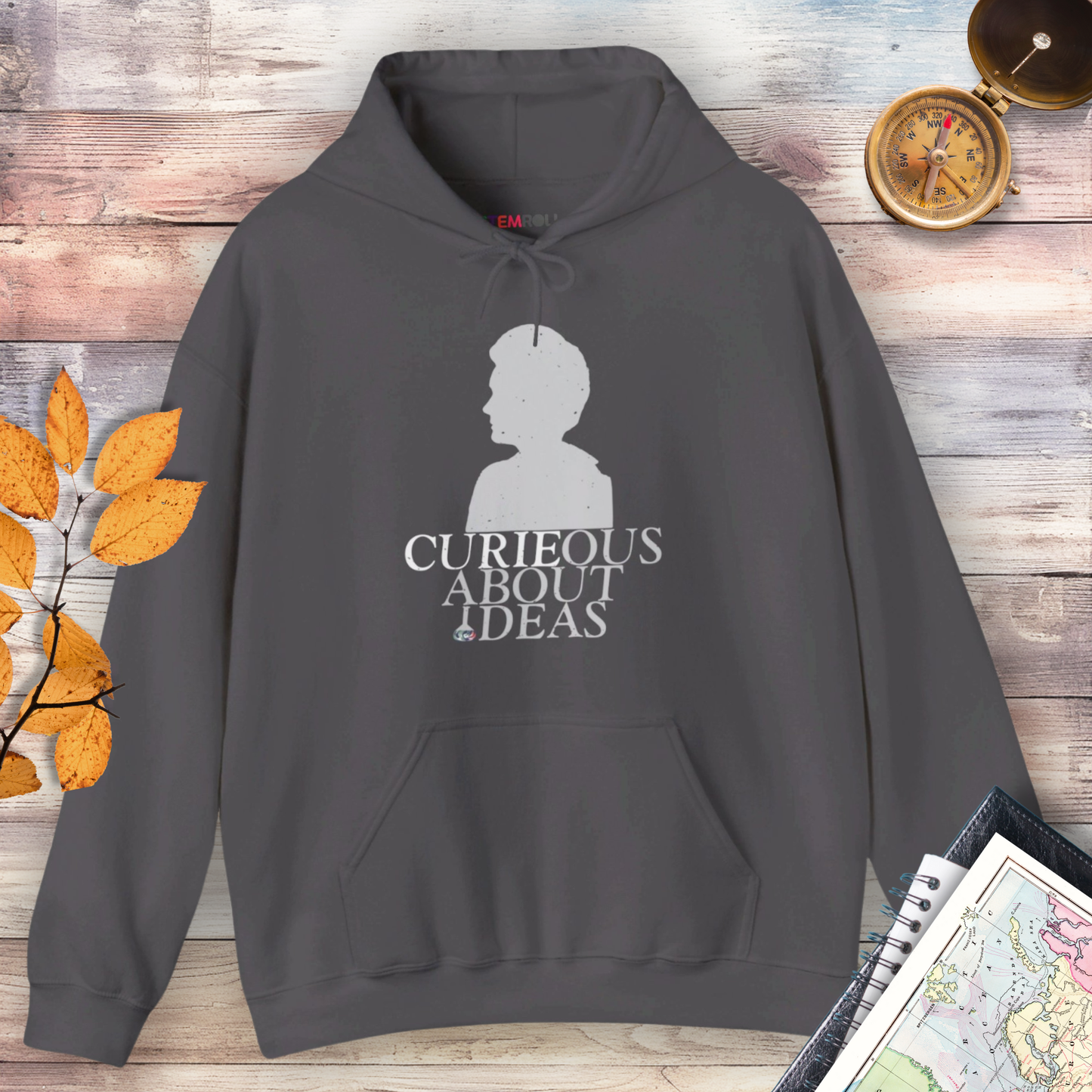 Marie Curie: Pioneer of Radioactivity Hoodie