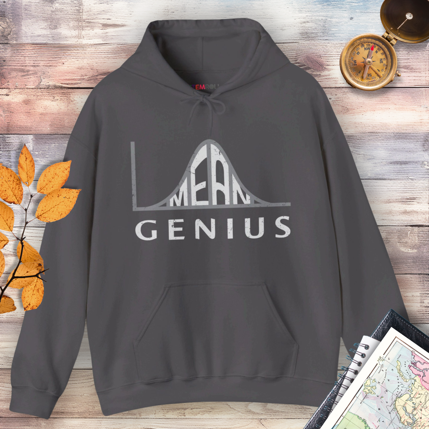 Mean Genius Hoodie