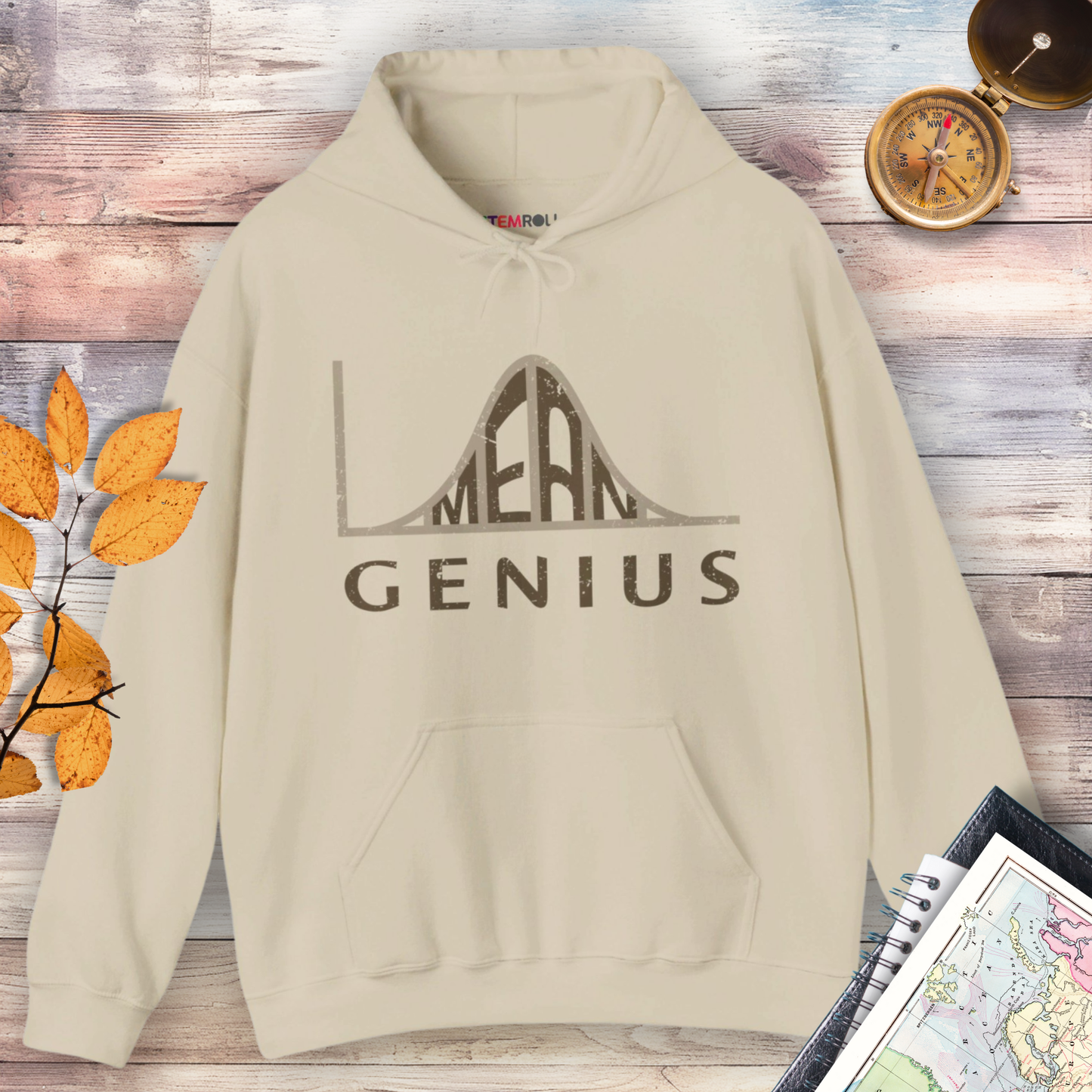 Mean Genius Hoodie