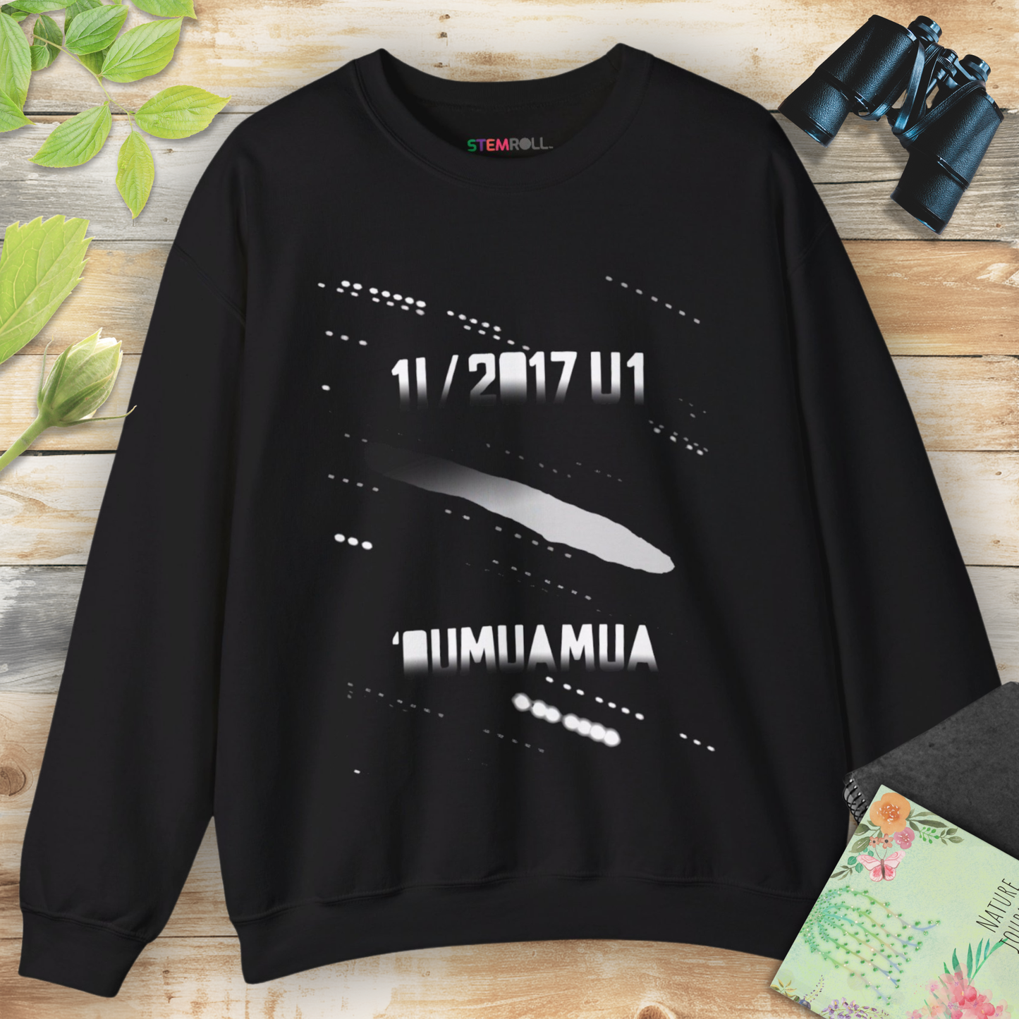 'Oumuamua: The Cosmic Wanderer Sweatshirt