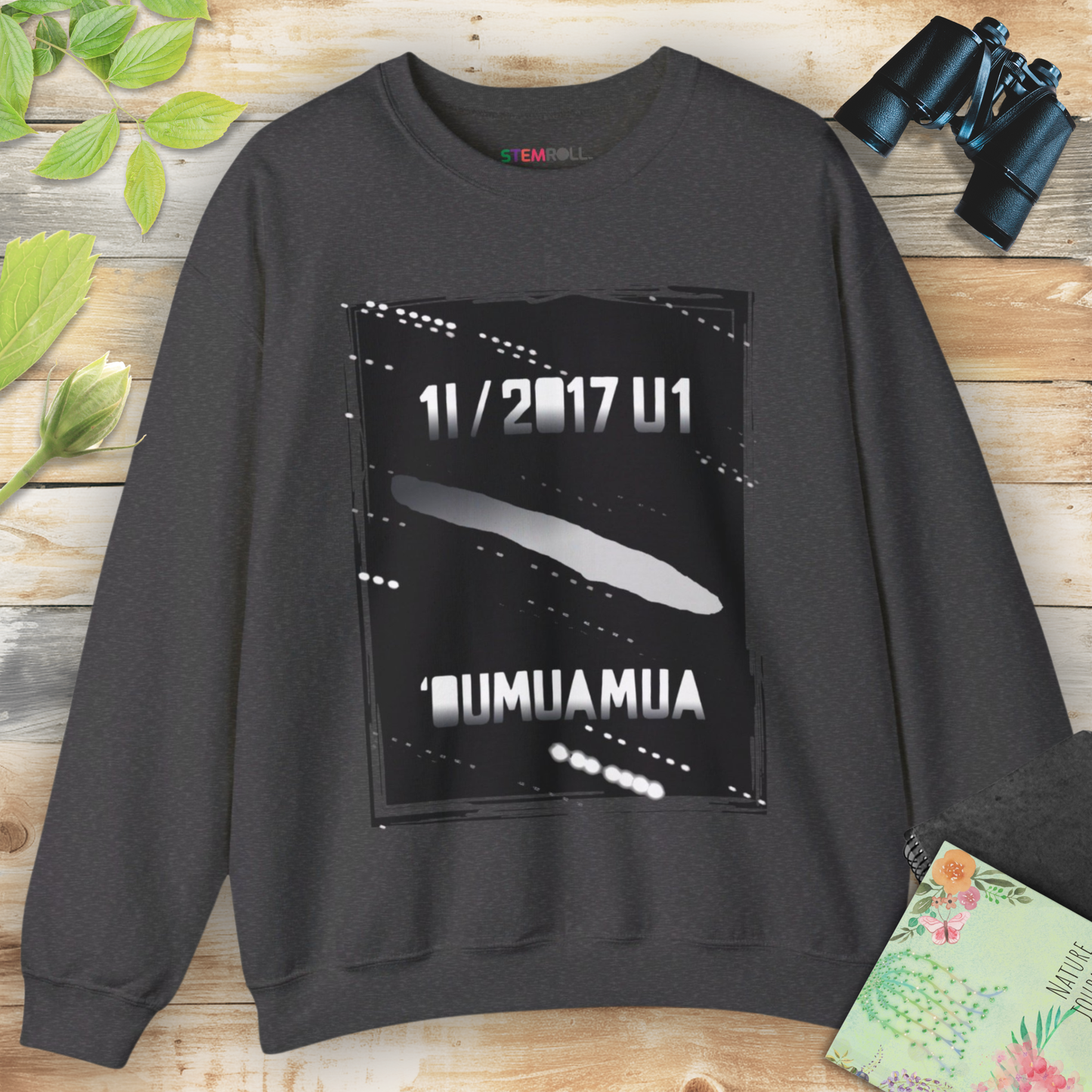 Oumuamua cosmic wanderer interstellar object sweatshirt — STEMRoll astrophysics science apparel