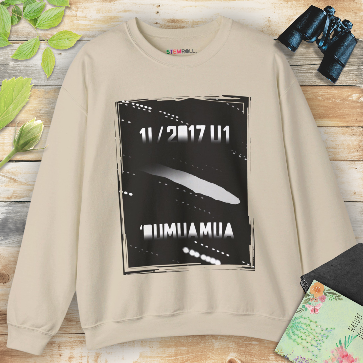 'Oumuamua: The Cosmic Wanderer Sweatshirt