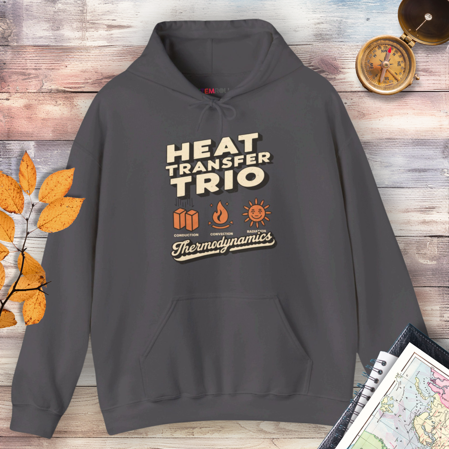 Thermodynamics: Heat Transfer Trio Hoodie
