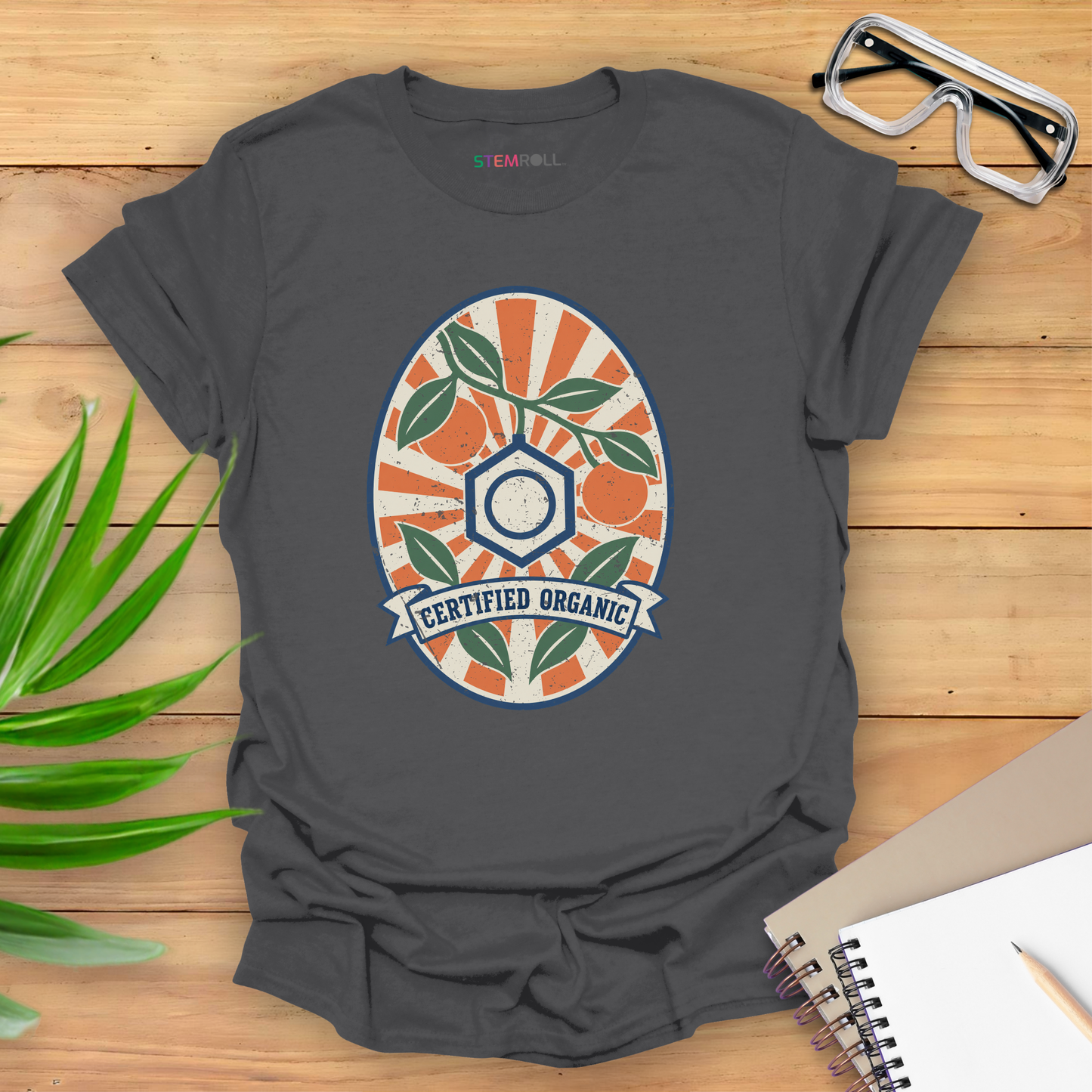 Certified Organic Chemistry T-shirt in Charcoal