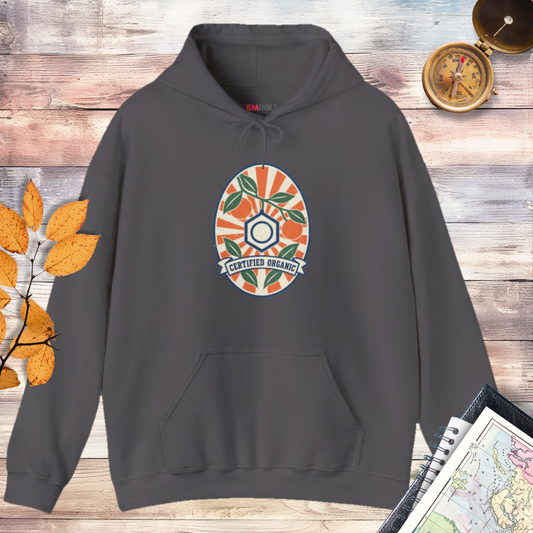 Certified Organic Chemistry Hoodie in Charcoal